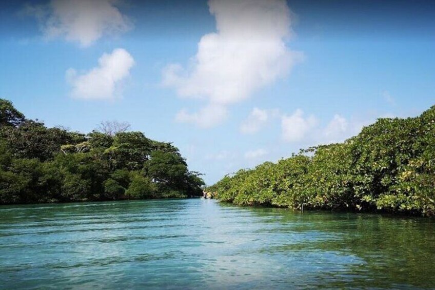 Private Blue Veins and White Beach Tour