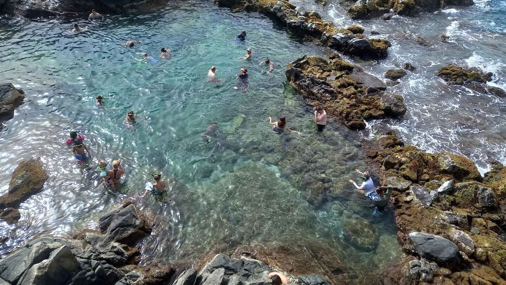 Picture 2 for Activity Arikok National Park: Half Day Tour & Snorkeling with Guide