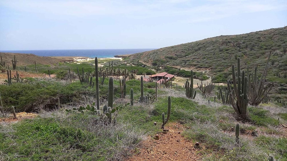 Picture 3 for Activity Arikok National Park: Half Day Tour & Snorkeling with Guide