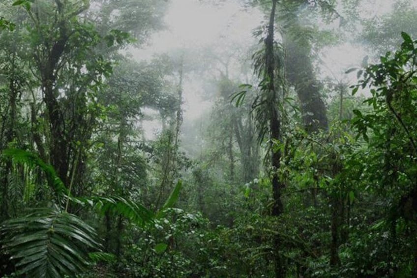 Monteverde