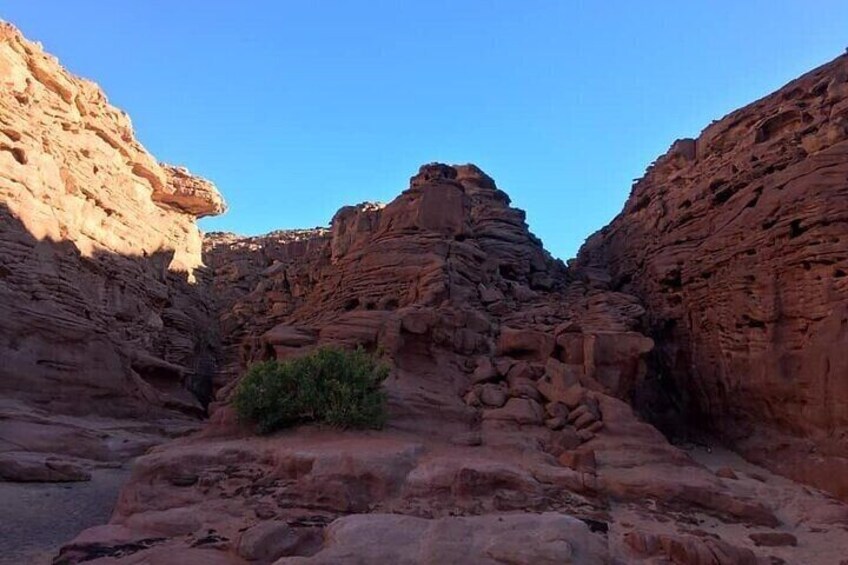 Jeep Safari to Canyon Salama Day Tour from Dahab