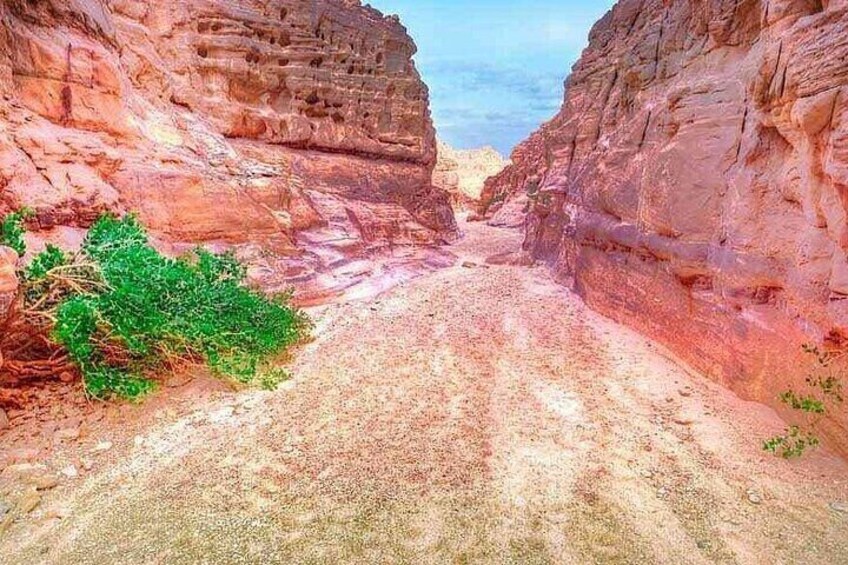 Jeep Safari to Canyon Salama Day Tour from Dahab