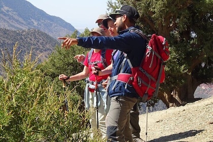 Atlas Mountains : Ourika Valley Day Trip from Marrakech