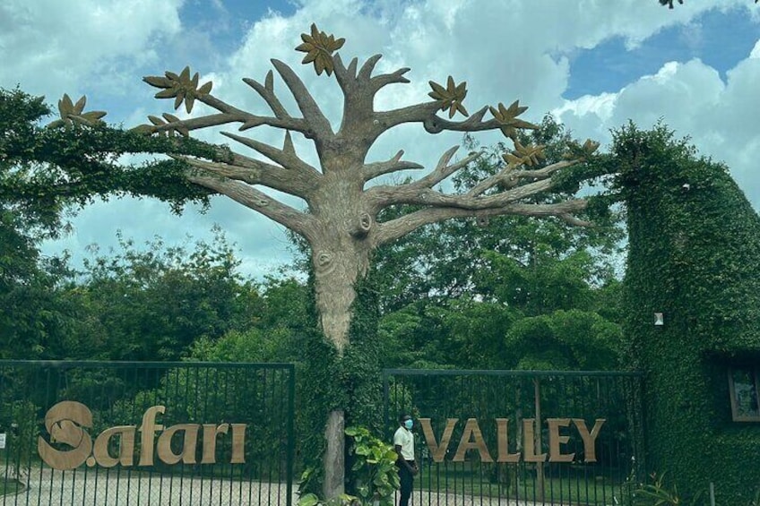 Safari Valley Eco Resort Day Tour with Activities