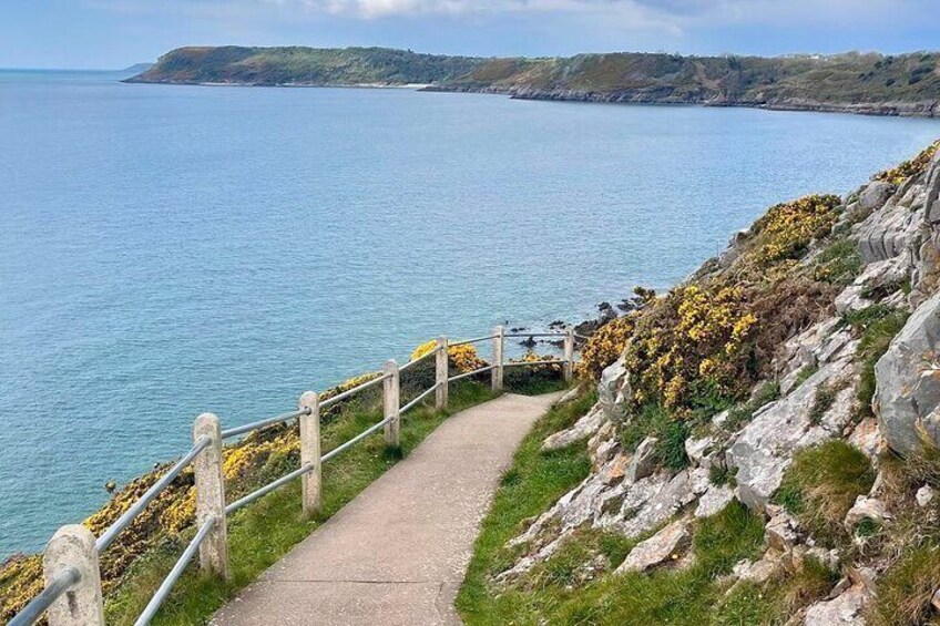 Gower Cliffs and Beaches Tour From Swansea