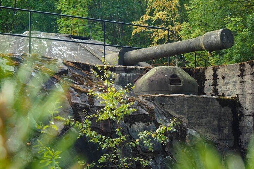 Fortress Islands Guided Sea Tour in Helsinki