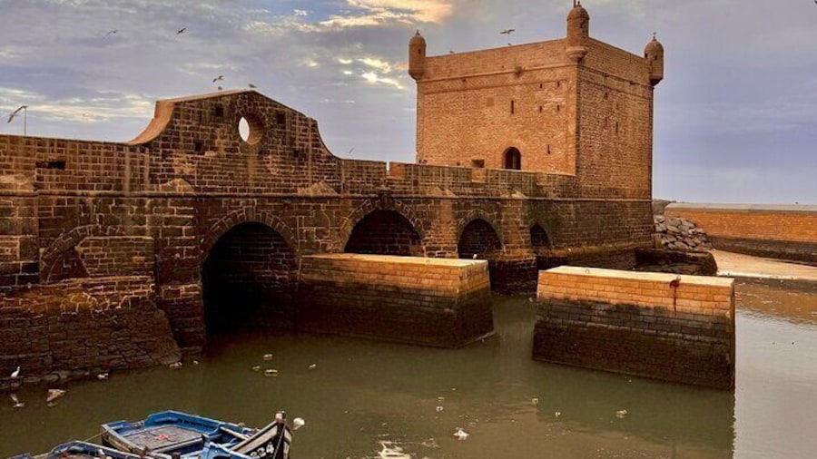 Full Day Trip To Essaouira