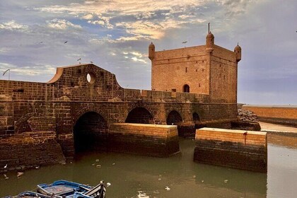 Excursion d'une journée complète à Essaouira