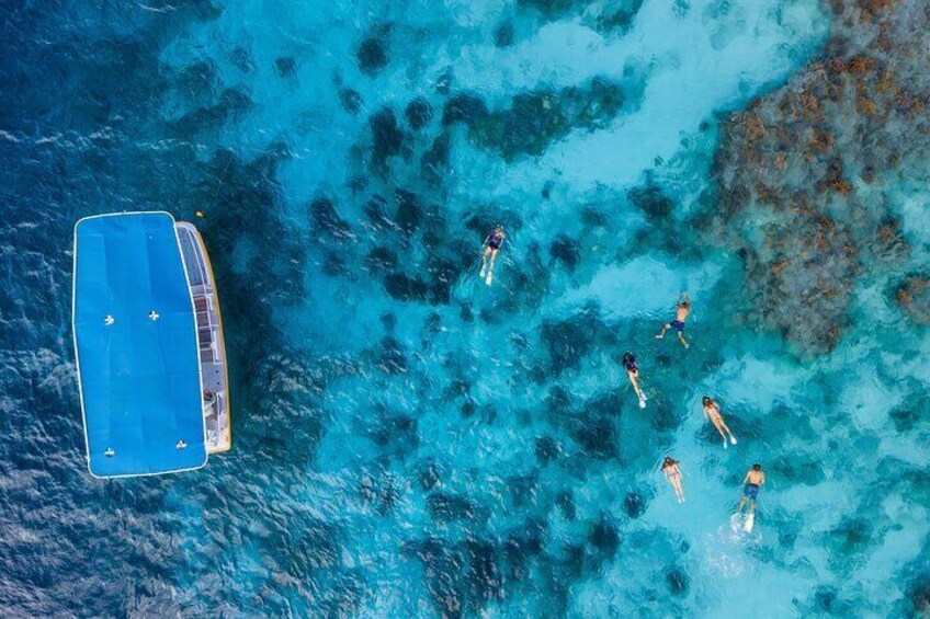 Drift Snorkeling (free service)