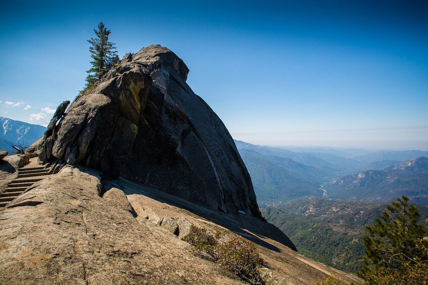 Sequoia & Kings Canyon National Park Self-Guided Driving Tour