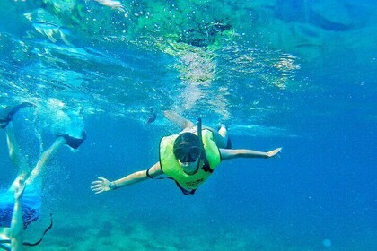 Public Guided Snorkel Tour of Fort Lauderdale Reefs