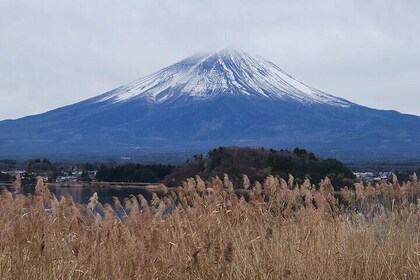 Private Hakone Mt Fuji Tour With English Language Driver