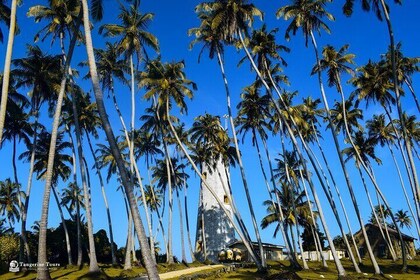 2 Nights 3 Days Tour from Colombo, Sri Lanka