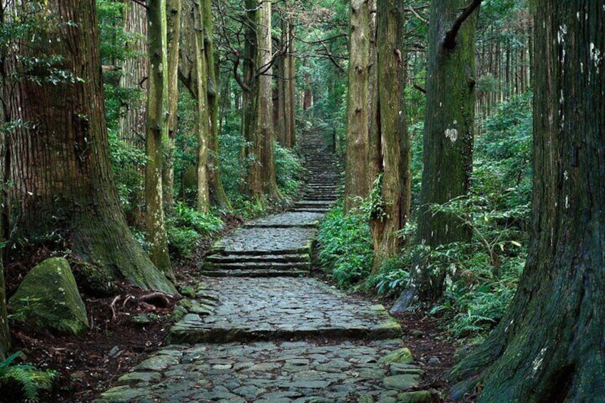 Kumano Kodo Pilgrimage All Must-Sees Private Chauffeur Tour with a Driver