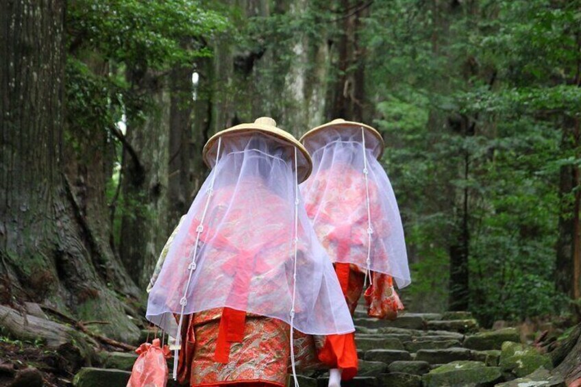 Kumano Kodo Pilgrimage All Must-Sees Private Chauffeur Tour with a Driver