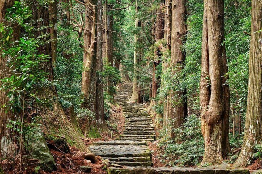 Kumano Kodo Pilgrimage All Must-Sees Private Chauffeur Tour with a Driver