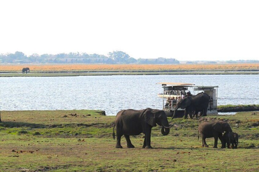 5 Day Exploration at Hwange NP, Chobe NP and Victoria Falls