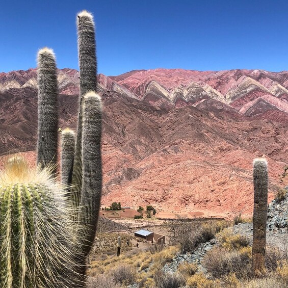 TREK CORAZÓN HORNOCAL ALL INCLUSIVE 4 DÍAS