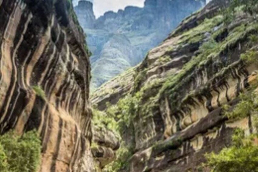 Full-Day Sani Pass and Lesotho Tour from Durban 4x4 Up The Pass