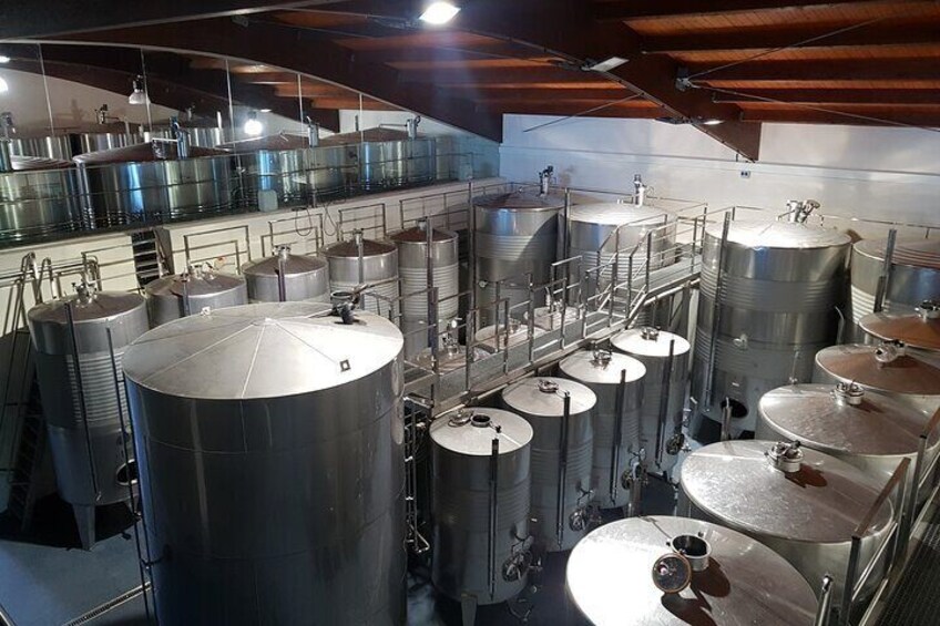 Inside the winery: the production process of Txakoli Wine