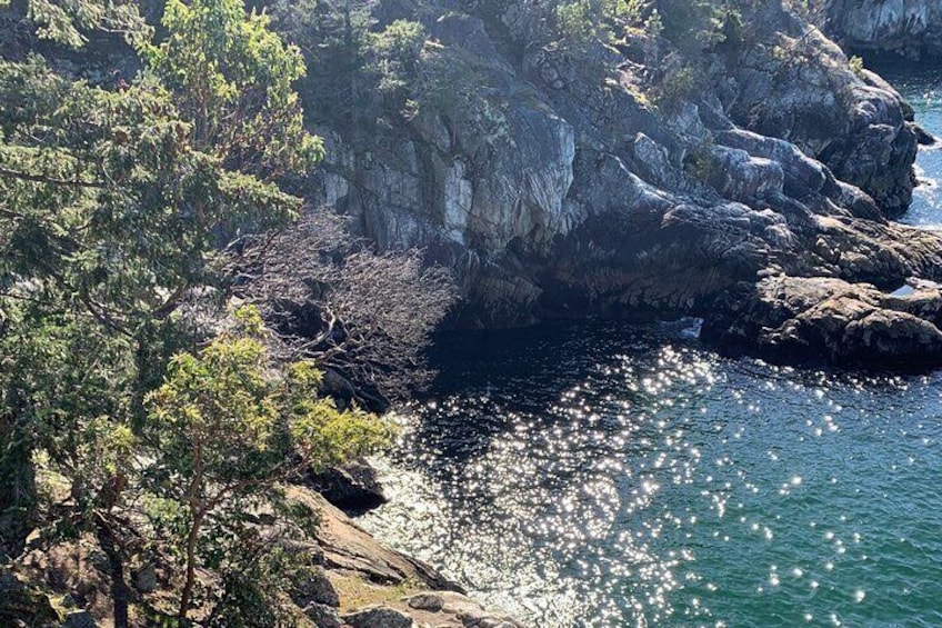 Views From Lighthouse Park