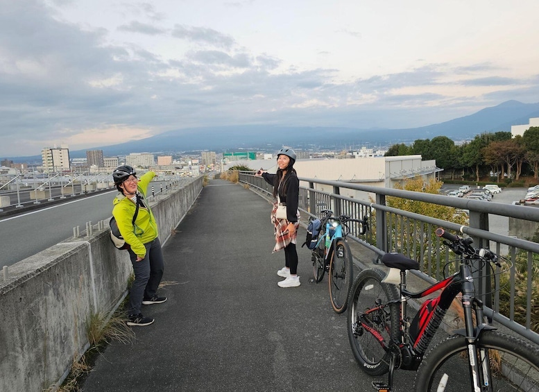 Picture 13 for Activity Fuji city: Mount Fuji Scenic E-Bike Tour