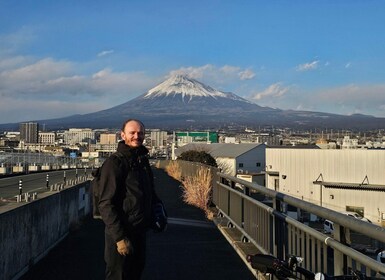 Fuji city: Mount Fuji Scenic E-Bike Tour