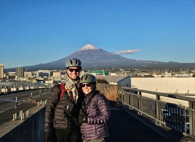 Winter Special: Clear View Mt. Fuji E-Bike Tour