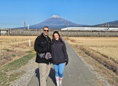 Fuji city: Mount Fuji Scenic E-Bike Tour