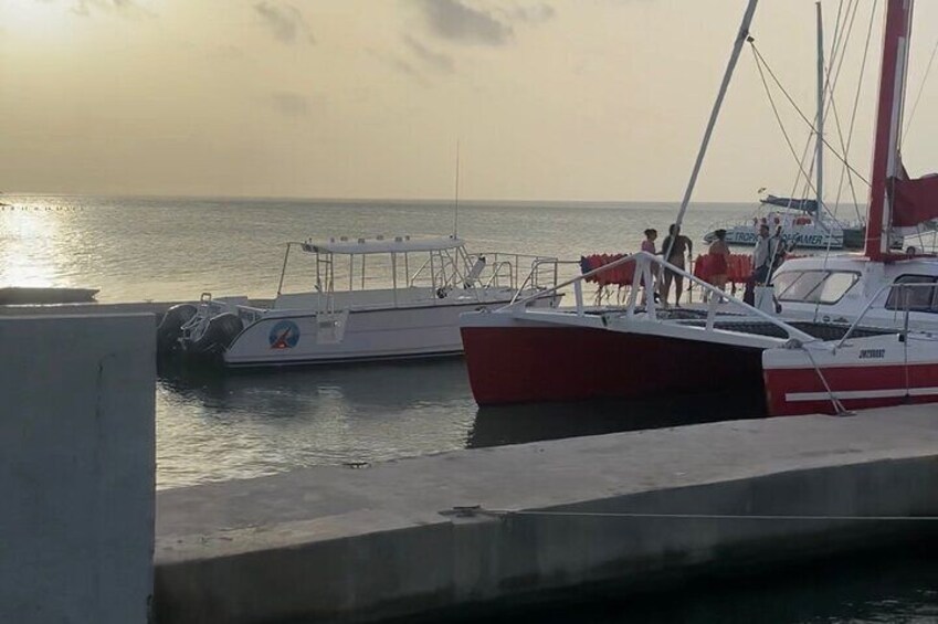 4-Hour Catamaran Party Cruise from Montego Bay