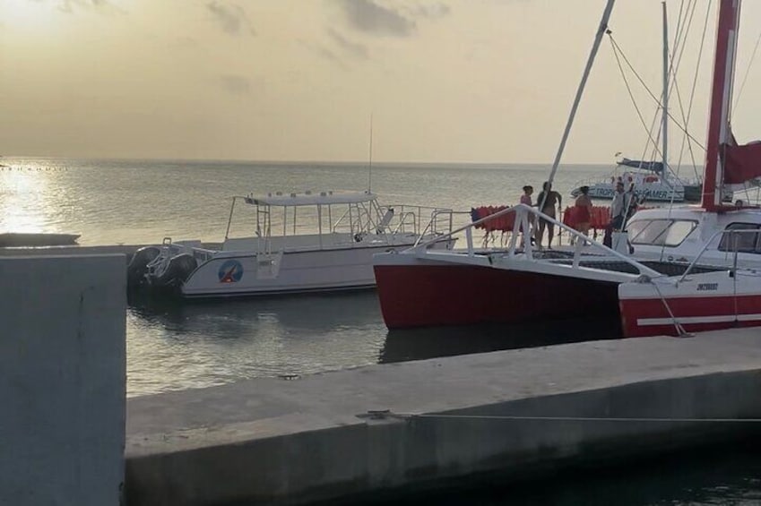 4-Hour Catamaran Party Cruise from Montego Bay