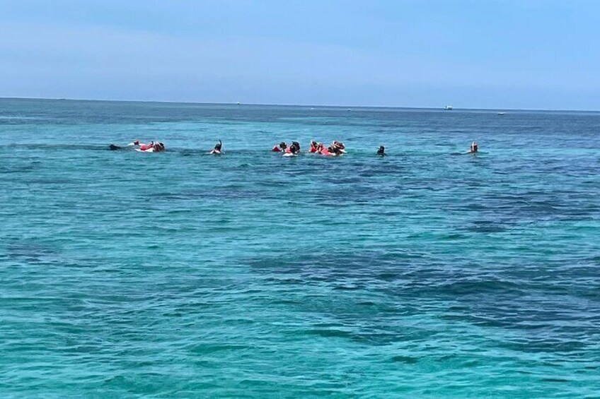 4-Hour Catamaran Party Cruise from Montego Bay