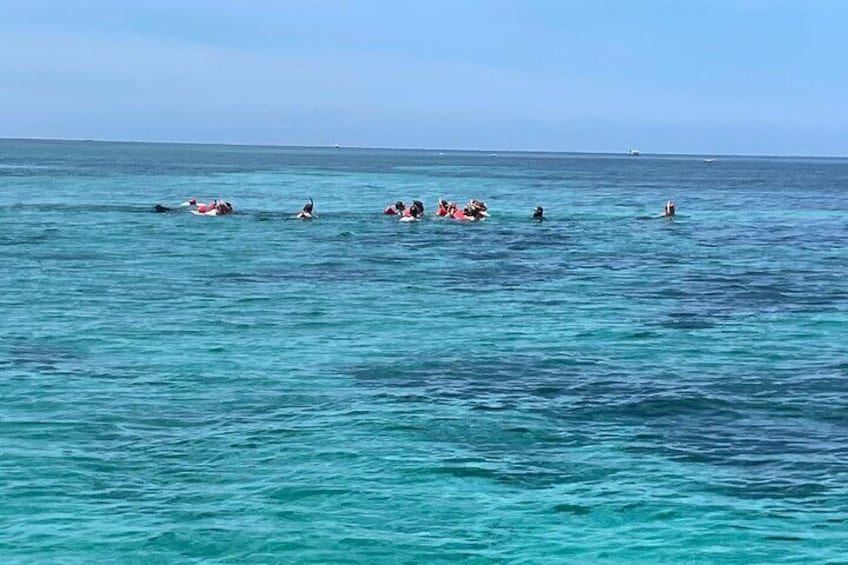 4-Hour Catamaran Party Cruise from Montego Bay