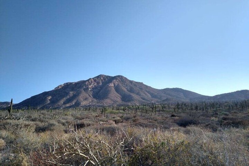 Private Hiking in La Paz