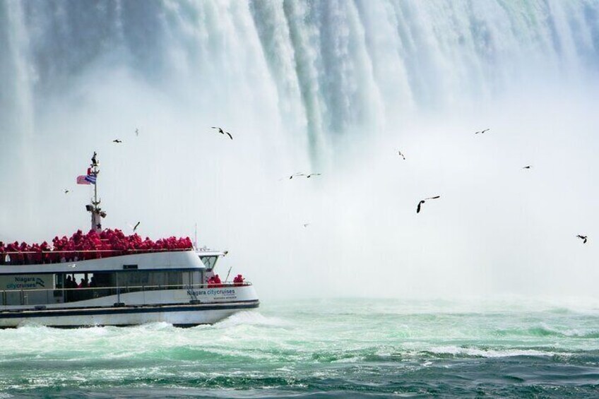 Niagara Falls Tour with Cruise and Optional Lunch from Niagara