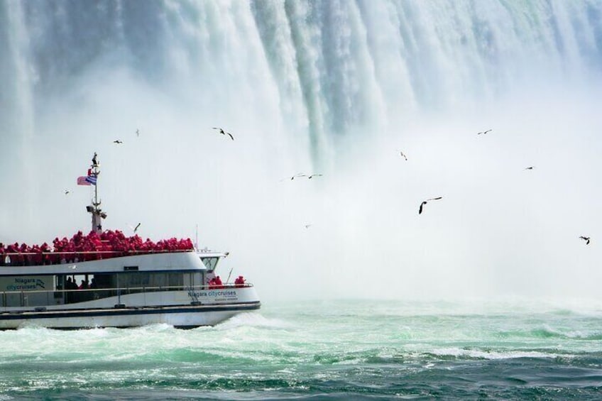 Niagara Falls Tour with Cruise and Optional Lunch from Niagara