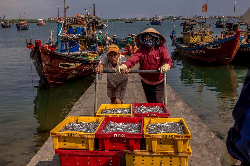 Picture 7 for Activity Hoi An River Life Private Photography Tour