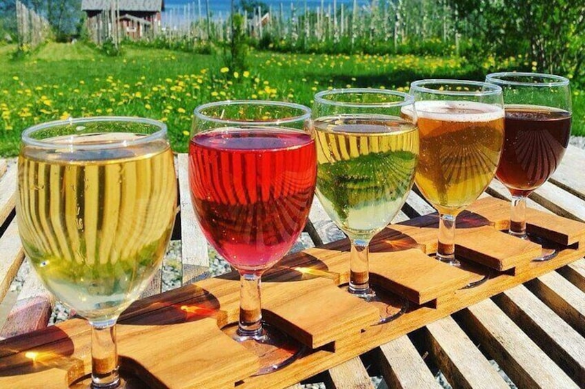 Cider Tasting