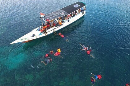 Private Snorkelling and Island Hopping Tour in Karimunjawa