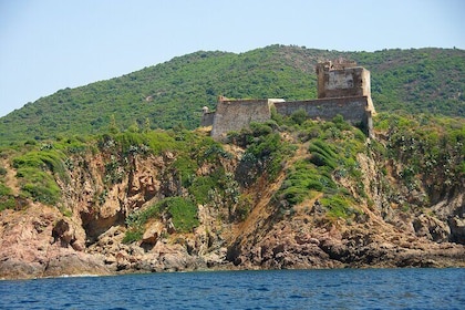 Morning excursion to the Calanques of Piana Scandola and Girolata