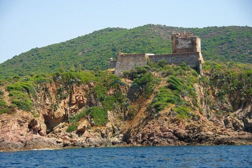 Half Day Boat Trip to Scandola