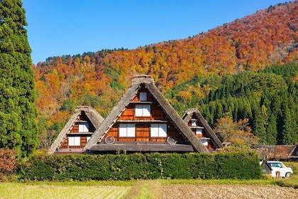 Shirakawago and Takayama Bus Tour from Nagoya