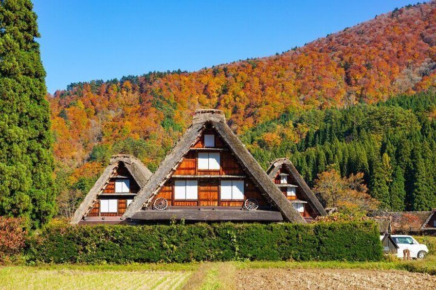 Shirakawago and Takayama Bus Tour from Nagoya