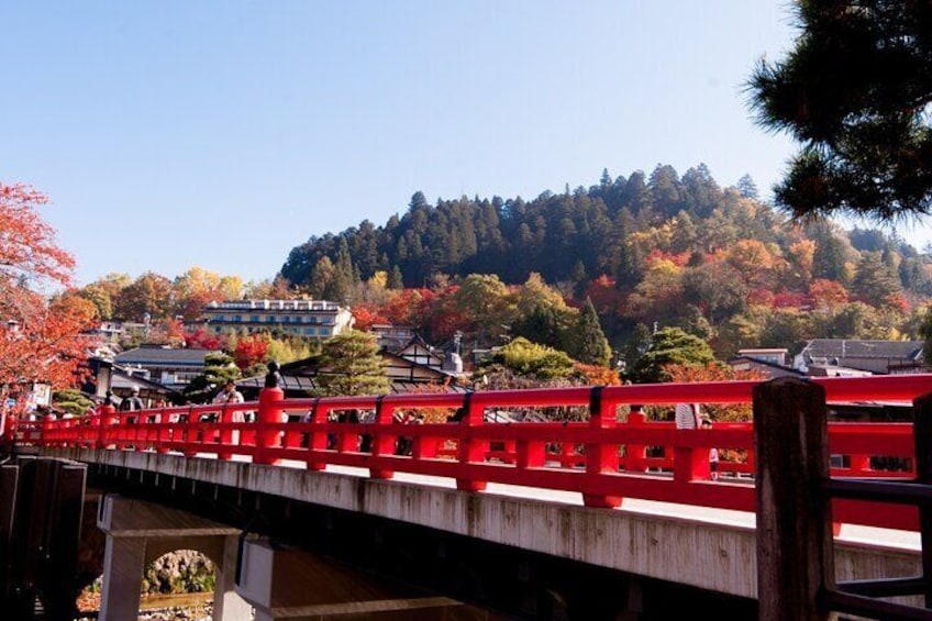 Shirakawago and Takayama Bus Tour from Nagoya