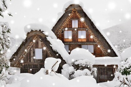 Shirakawago and Takayama Bus Tour from Nagoya