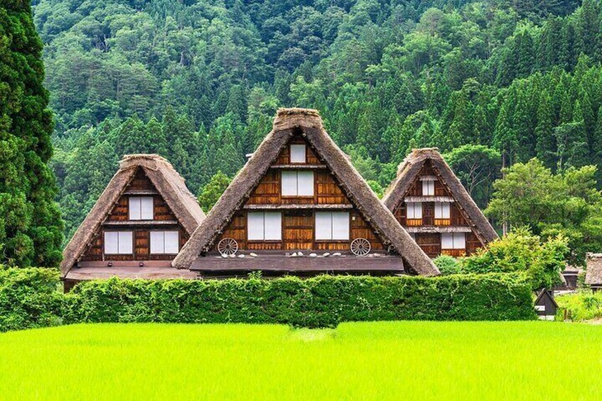 Shirakawago and Takayama Bus Tour from Nagoya