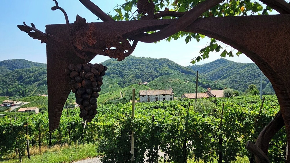 From Venice: Prosecco Full Experience with Wine Tasting and Lunch