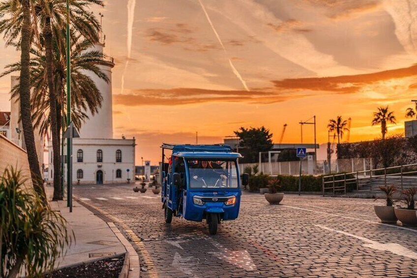 Express Tour 40 minutes in Malaga Mirador Gibralfaro and Photography