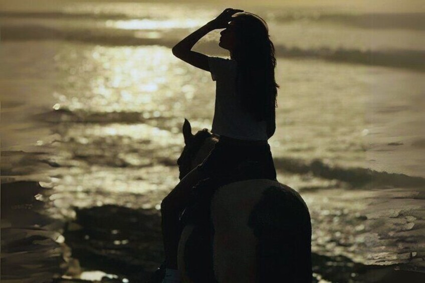 Embark in an epic trail while Horseback Riding in Aguadilla Beaches in the Sunset