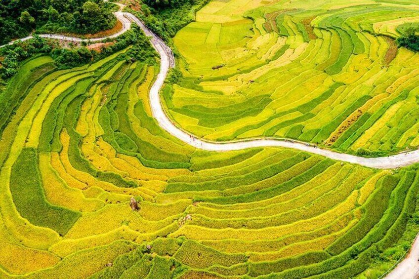 Shared Pu Luong Bamboo Bridge, Village Life and Hieu Waterfall